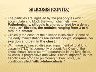 SILICOSIS (CONTD.)
 The particles are ingested by the phagocytes which
accumulate and block the lymph channels. -----
Pathologically, silicosis is characterized by a dense
"nodular" fibrosis, the nodules ranging from 3 to 4
mm in diameter.
 Clinically the onset of the disease is insidious. Some of
the early manifestations are irritant cough, dyspnea· on
exertion and pain in the chest.
 With more advanced disease, impairment of total lung
capacity (TLC) is commonly present. An X-ray of the
chest shows "snow-storm" appearance in the lung fields.
Silicosis is progressive and what is more important is that
silicotics are prone to pulmonary tuberculosis, , a
condition called "silico-tuberculosis."
 