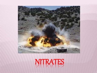 NITRATES
 