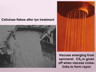 Cellulose flakes after lye treatment
Viscose emerging from
spinneret. CS2 is given
off when viscose cross-
links to form rayon
 