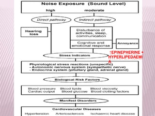 ↑EPINEPHERINE +
HYPERLIPEDAEMI
A
 