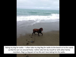 Going o
Taking my dog for walks – I often take my dog Reg for walks to the beach or to the scenic
so that he can run around freely. I either take him by myself or with other family
members. Reg is a big part of my life and I love taking him for walks.
 