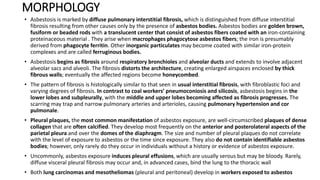 Fuiform Rods OCCUPATIONALLUNGDISEASE AND ITS VARIANTS | PDF