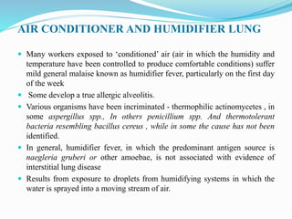 Lung Humidity Occupational lung diseases | PPTX