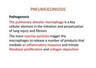 PNEUMOCONIOSIS
Pathogenesis
The pulmonary alveolar macrophage is a key
cellular element in the initiation and perpetuation
of lung injury and fibrosis
The more reactive particles trigger the
macrophages to release a number of products that
mediate an inflammatory response and initiate
fibroblast proliferation and collagen deposition
 