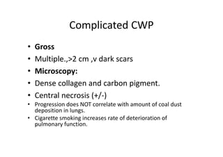 Complicated CWP
• Gross
• Multiple.,>2 cm ,v dark scars
• Microscopy:
• Dense collagen and carbon pigment.
• Central necrosis (+/‐)
• Progression does NOT correlate with amount of coal dust
deposition in lungs.
• Cigarette smoking increases rate of deterioration of
pulmonary function.
 