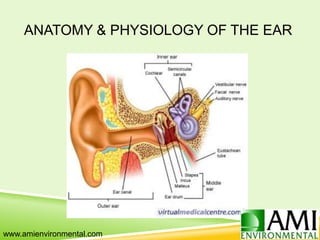 ANATOMY & PHYSIOLOGY OF THE EAR
www.amienvironmental.com
 