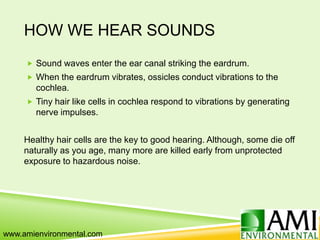 HOW WE HEAR SOUNDS
 Sound waves enter the ear canal striking the eardrum.
 When the eardrum vibrates, ossicles conduct vibrations to the
cochlea.
 Tiny hair like cells in cochlea respond to vibrations by generating
nerve impulses.
Healthy hair cells are the key to good hearing. Although, some die off
naturally as you age, many more are killed early from unprotected
exposure to hazardous noise.
www.amienvironmental.com
 