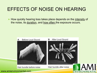 EFFECTS OF NOISE ON HEARING
 How quickly hearing loss takes place depends on the intensity of
the noise, its duration, and how often the exposure occurs.
www.amienvironmental.com
 