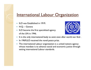 occupational optometry (national and international bodies) | PDF