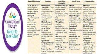 Occupational Performance