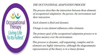 Occupational Performance in Occupational Therapy
