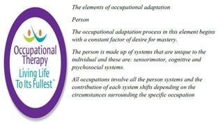 Occupational Performance in Occupational Therapy