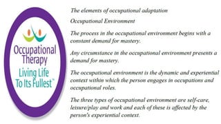 Occupational Performance in Occupational Therapy