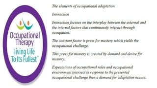 Occupational Performance in Occupational Therapy