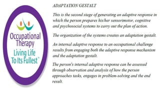 Occupational Performance in Occupational Therapy