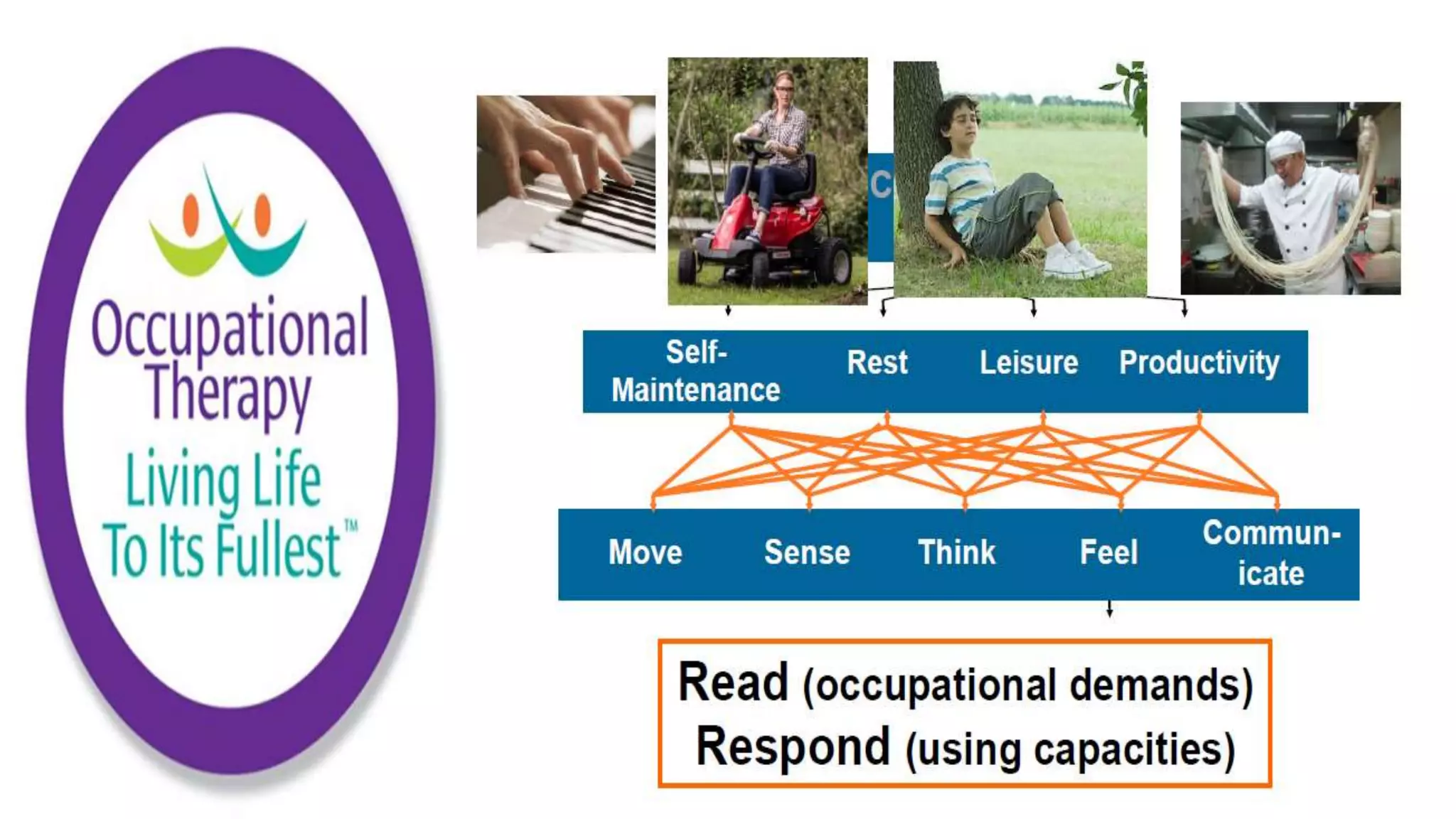 Occupational Performance Model Australia Construct and Structure | PPTX