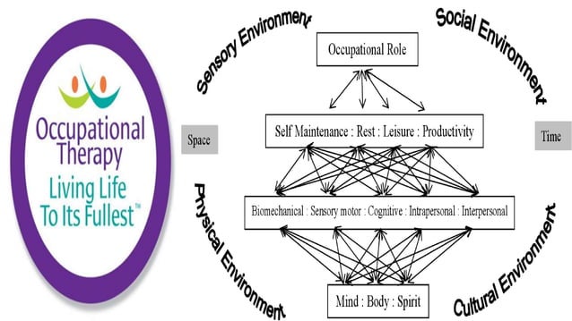 Occupational Performance Model Australia in Practice | PPTX