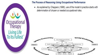 Occupational Performance Model Australia in Practice