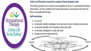 Occupational Performance Model Australia in Practice