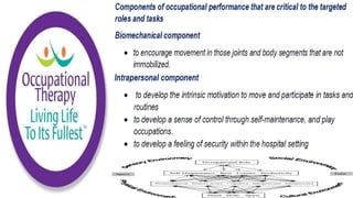 Occupational Performance Model Australia in Practice