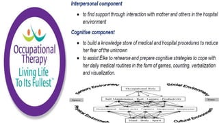 Occupational Performance Model Australia in Practice
