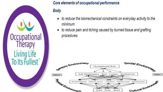 Occupational Performance Model Australia in Practice