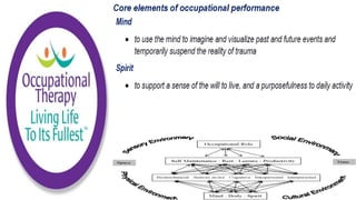 Occupational Performance Model Australia in Practice