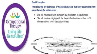 Occupational Performance Model Australia in Practice
