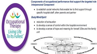 Occupational Performance Model Australia in Practice