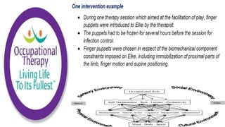 Occupational Performance Model Australia in Practice