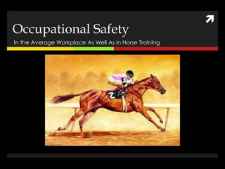 
Occupational Safety
In the Average Workplace As Well As in Horse Training
 