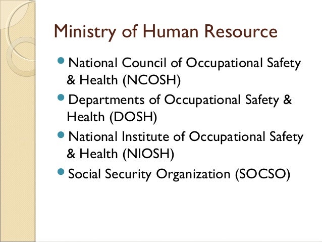 an introduction to the national institute for occupational safety and health niosh National institute for occupational safety and health definition, categories, type and other relevant information provided by all acronyms niosh stands for national institute for occupational safety and health. an introduction to the national institute for occupational safety and health niosh National institute for occupational safety and health definition, categories, type and other relevant information provided by all acronyms niosh stands for national institute for occupational safety and health.