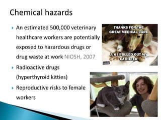 Occupational Safety and Health in Veterinary Medicine and Animal Care