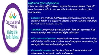 Different types of proteins
There are many different types of proteins in our bodies. They all
serve important roles in our growth, development and everyday
functioning.
- Enzymes are proteins that facilitate biochemical reactions, for
example, pepsin is a digestive enzyme in your stomach that helps
to break down proteins in food.
- Antibodies are proteins produced by the immune system to help
remove foreign substances and fight infections.
- DNA-associated proteins regulate chromosome structure during
cell division and/or play a role in regulating gene expression, for
example, histones and cohesin proteins
- Contractile proteins are involved in muscle contraction and
movement, for example, actin and myosin
 