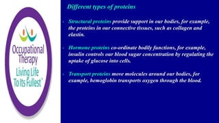 Different types of proteins
- Structural proteins provide support in our bodies, for example,
the proteins in our connective tissues, such as collagen and
elastin.
- Hormone proteins co-ordinate bodily functions, for example,
insulin controls our blood sugar concentration by regulating the
uptake of glucose into cells.
- Transport proteins move molecules around our bodies, for
example, hemoglobin transports oxygen through the blood.
 
