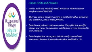 Amino Acids and Proteins
- Amino acids are relatively small molecules with molecular
weights around 100-200.
- They are used to produce energy, to synthesize other molecules
like hormones, and to make proteins.
- Proteins are polymers of amino acids. They fold into specific
shapes and range in molecular weight from several thousand to
over a million.
- Proteins function as enzymes (which catalyze reactions),
structural elements, transport molecules, antibodies, etc.
 