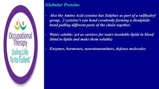 Globular Proteins
- Also the Amino Acid cysteine has Sulphur as part of a sulfhydryl
group. 2 cysteine's can bond covalently forming a disulphide
bond pulling different parts of the chain together.
- Water soluble- act as carriers for water insoluble lipids in blood
(bind to lipids and make them soluble)
- Enzymes, hormones, neurotransmitters, defense molecules
 