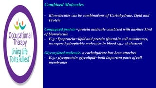 Combined Molecules
- Biomolecules can be combinations of Carbohydrate, Lipid and
Protein
Conjugated protein= protein molecule combined with another kind
of biomolecule
- E.g.; lipoprotein= lipid and protein (found in cell membranes,
transport hydrophobic molecules in blood e.g.; cholesterol
Glycosylated molecule- a carbohydrate has been attached
- E.g.; glycoprotein, glycolipid= both important parts of cell
membranes
 