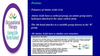 Proteins
- Polymers of Amino Acids (AA)
- Amino Acids have a carboxyl group, an amine group and a
hydrogen attached to the same carbon atom.
- The 4th bond attaches to a variable group known as the ‘R’
group
- All Amino Acids have a similar core structure
 
