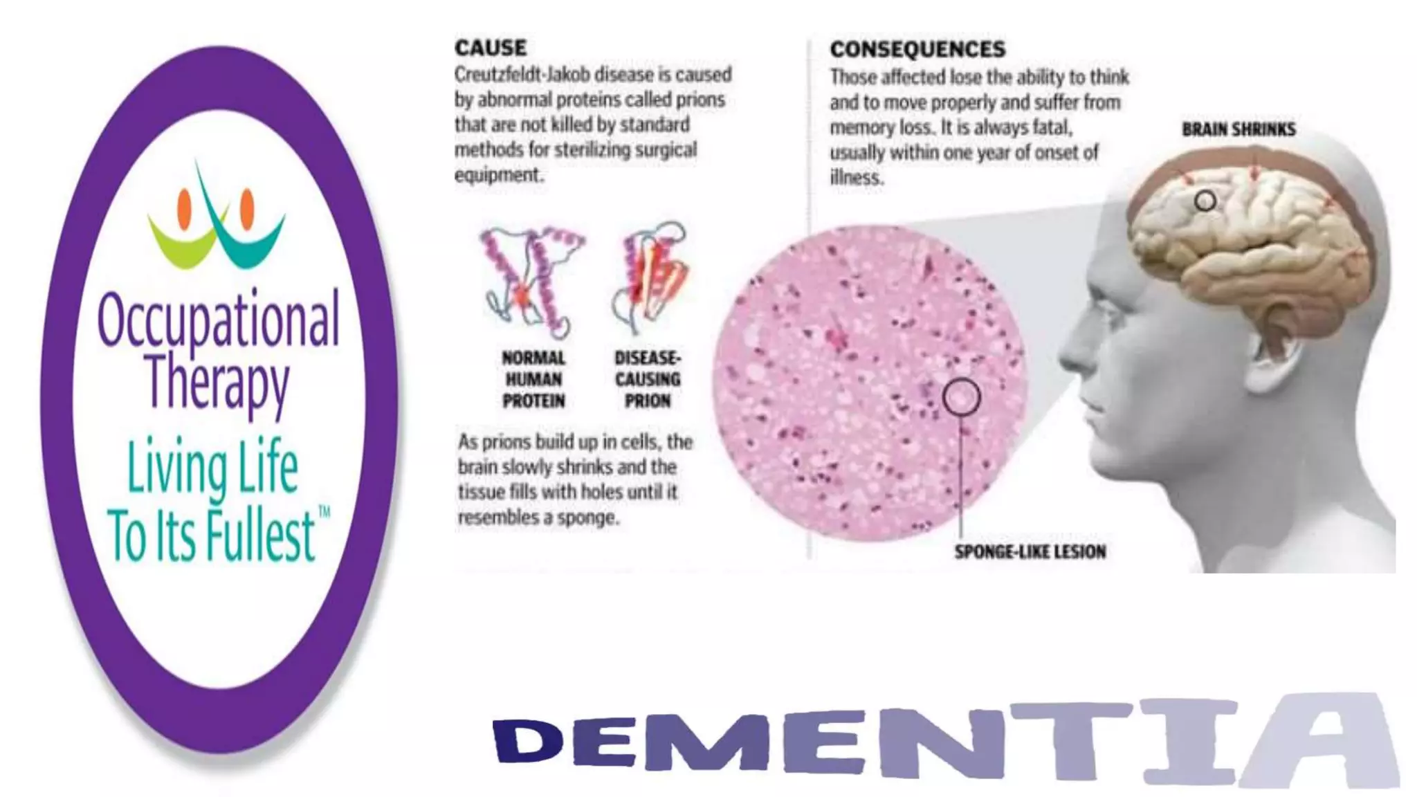Occupational Therapy and Dementia Care part 2