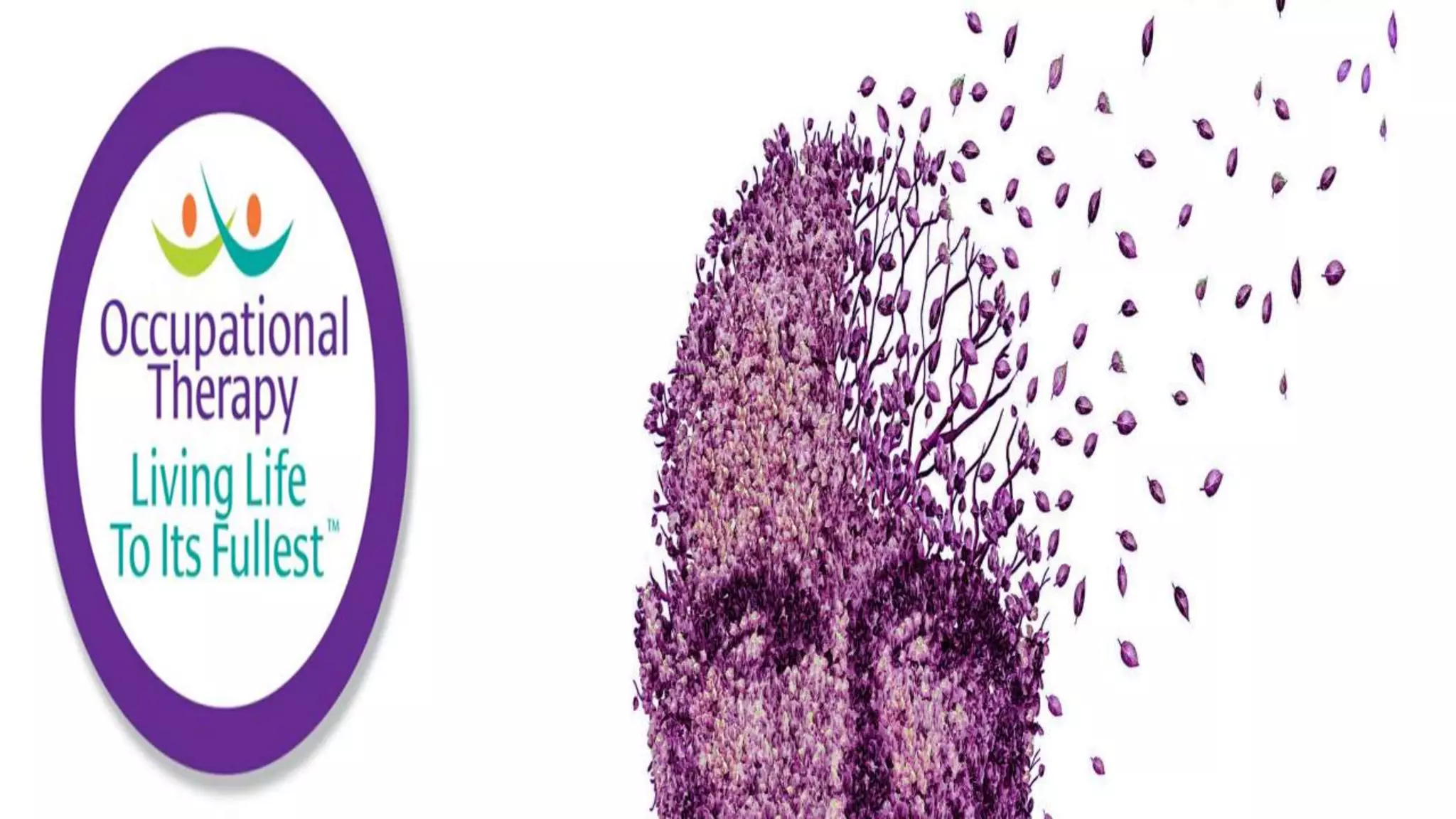 Occupational Therapy and Dementia Care part 2