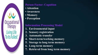 Person Factor: Cognition
• Attention
• Awareness
• Memory
• Perception
Information Processing Model
1. Environmental input
2. Sensory registration
3. Automatic transfer
4. Short-term/working memory
5. Storage to long term memory
6. Long-term memory
7. Retrieval from long term memory
 