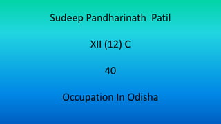 Sudeep Pandharinath Patil
XII (12) C
40
Occupation In Odisha
 