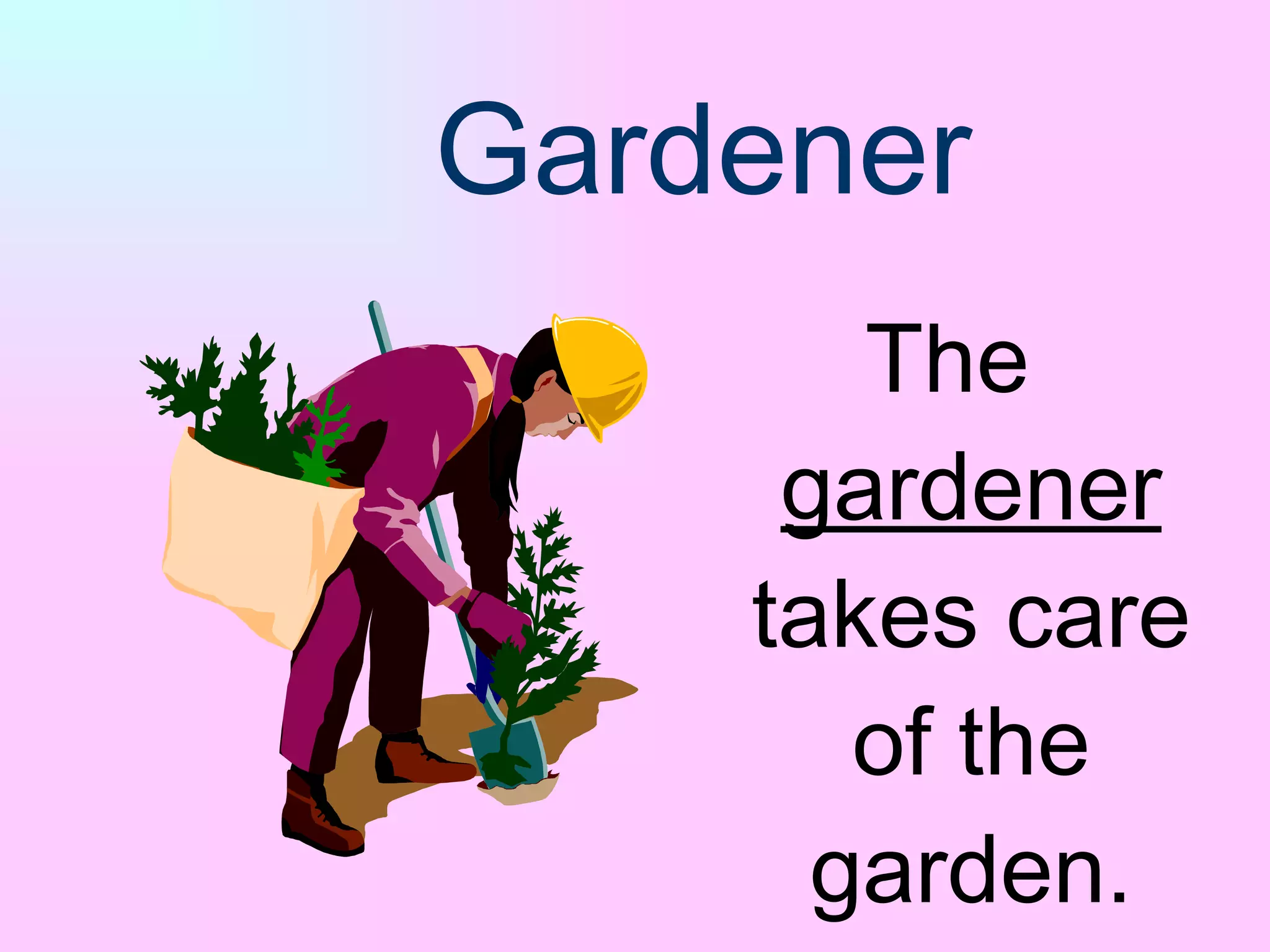 Gardener The   gardener  takes care   of the garden. 