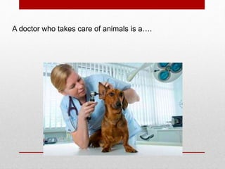 A doctor who takes care of animals is a….
 