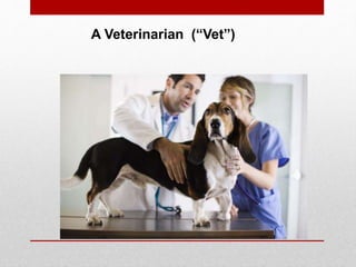 A Veterinarian (“Vet”)
 