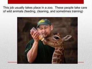This job usually takes place in a zoo. These people take care
of wild animals (feeding, cleaning, and sometimes training)
 