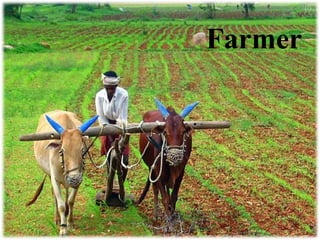 Farmer

 