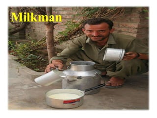 Milkman

 