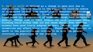 B. Genetic drift is defined as a change in gene pool due to
chance alone. Certain traits in the population could be reduce
or eliminated through some unpredictable disasters or accidents
such as earthquakes, floods, fires, and diseases. For example, a
flood wiped out a population of organism, large land vertebrate
animals. Though some of these animals can swim, prolonged heavy
flooding could stress them out and cause death. Even when the
animals have good traits adapted to their habitat, such natural
calamities may affect their survival. Therefore, the survival or
death in the population has nothing to do with the general
structure or physiology of the organism.
 